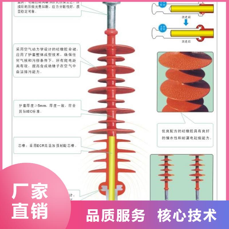 ZS2-220/850支柱绝缘子