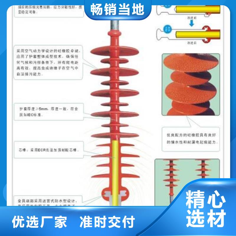 FXBW3-110/120棒型绝缘子乐东县