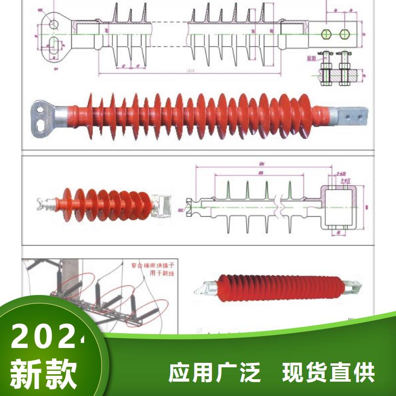 ZS-63/5陶瓷绝缘子