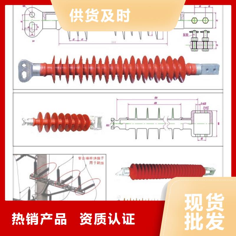 ZSW-110/4-3户外支柱绝缘子