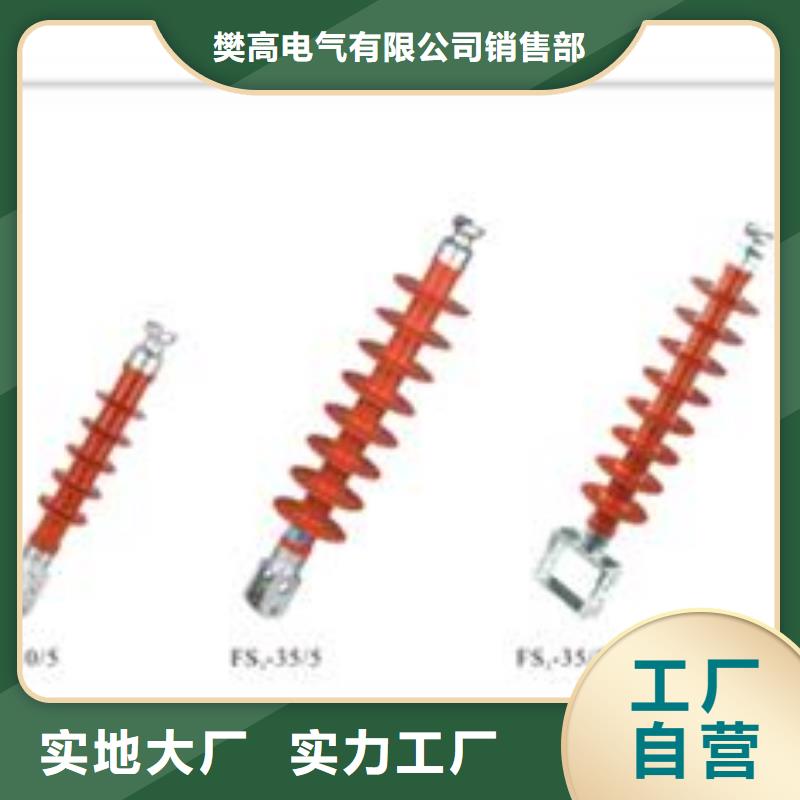 ZB-12Y支柱绝缘子