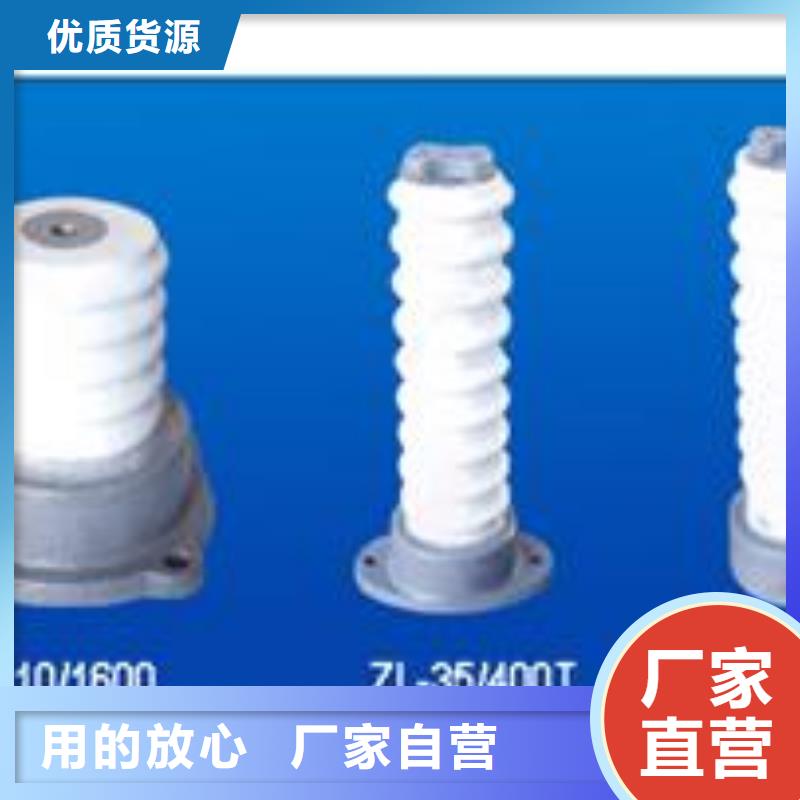 陵水县ZN-10KV/75*130环氧树脂绝缘子优惠