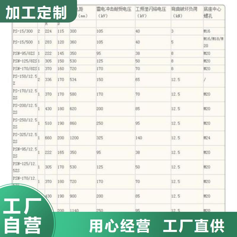 JSXGN-12/S机械闭锁高压带电显示器