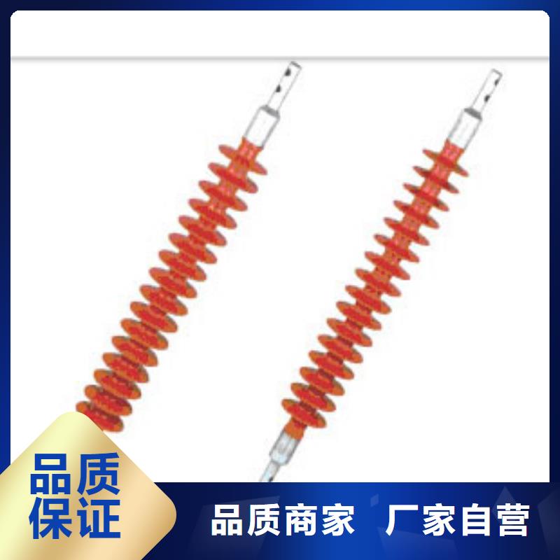 FXBW1-330/210硅胶绝缘子