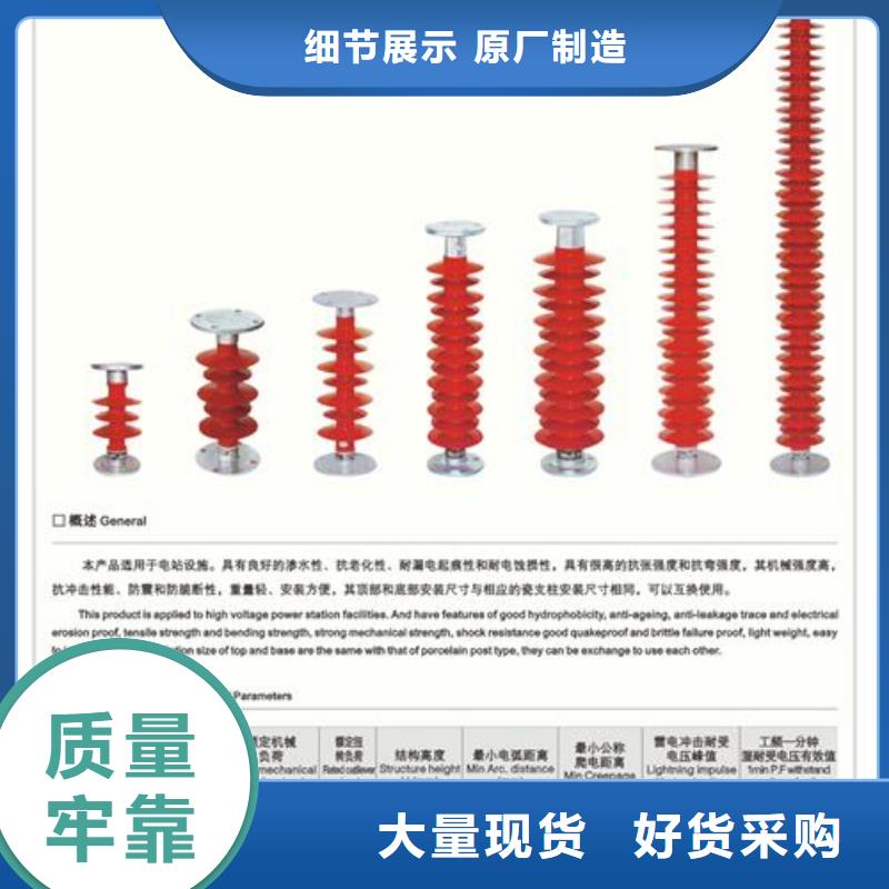 ZA-10Y支柱绝缘子