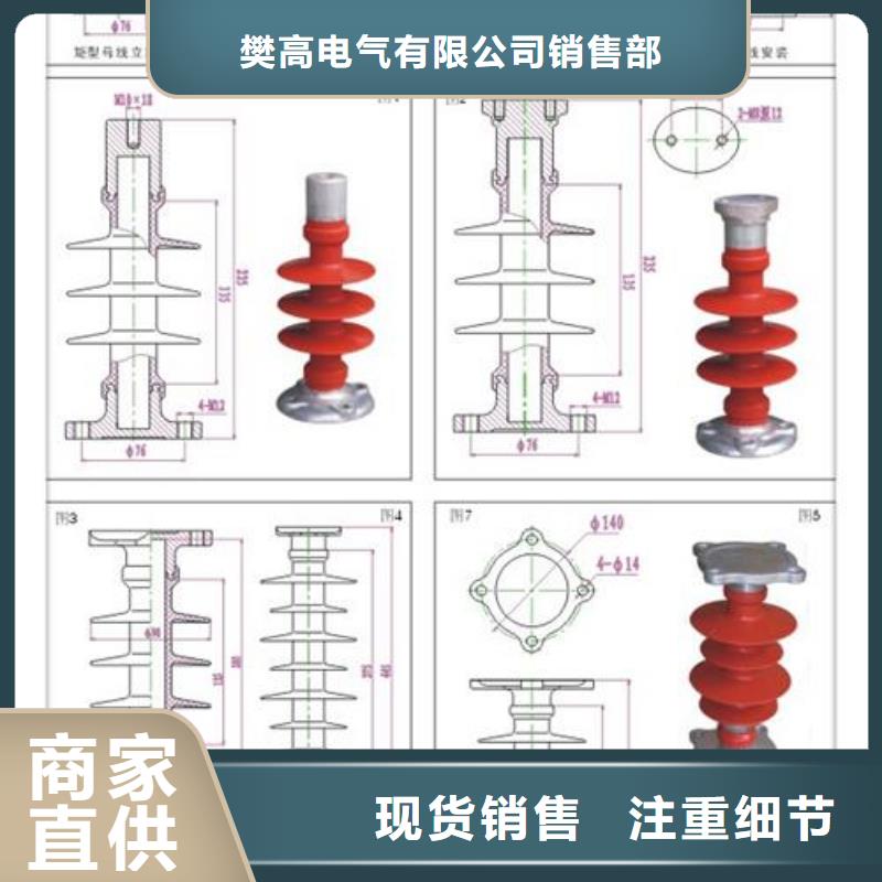 ZJ-10Q/85*145环氧树脂绝缘子