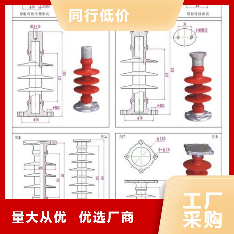 ZJ-10KV/75*130环氧树脂绝缘子