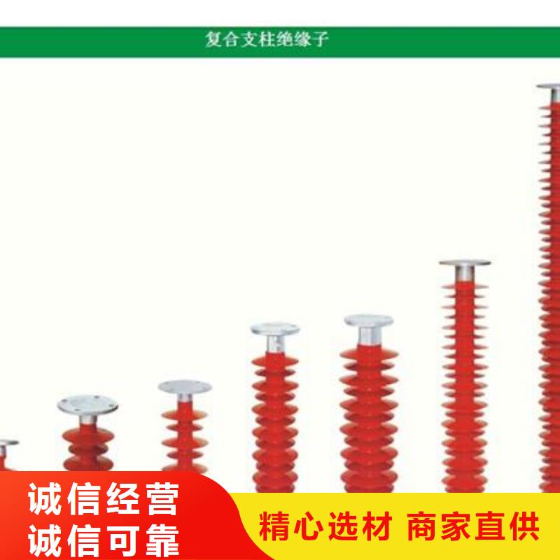 FXBW2-110/100硅胶绝缘子