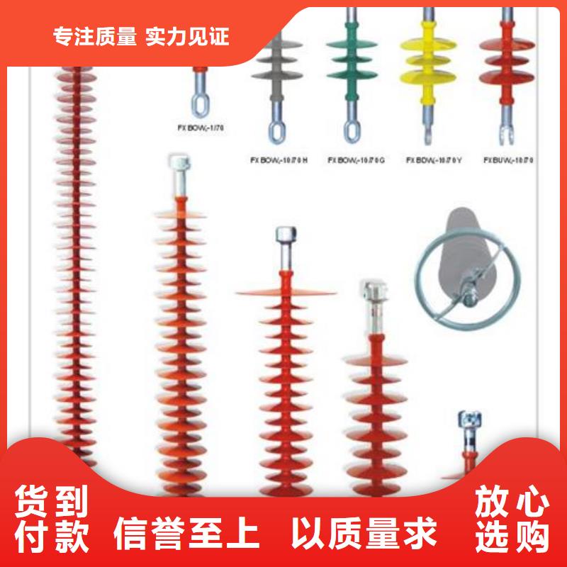 DXN8-10T高压带电显示器