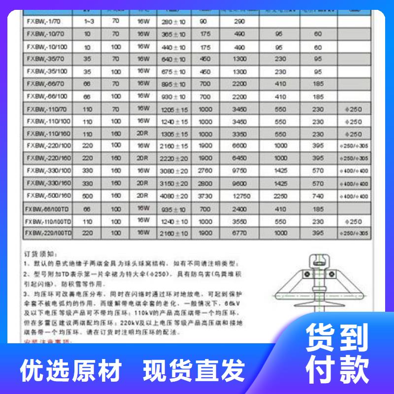 ZS-20/4户外高压绝缘子