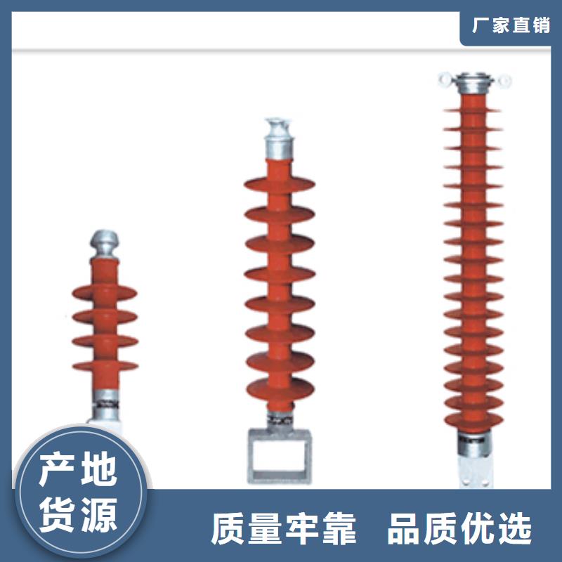 ZN-10KV/65*140绝缘子