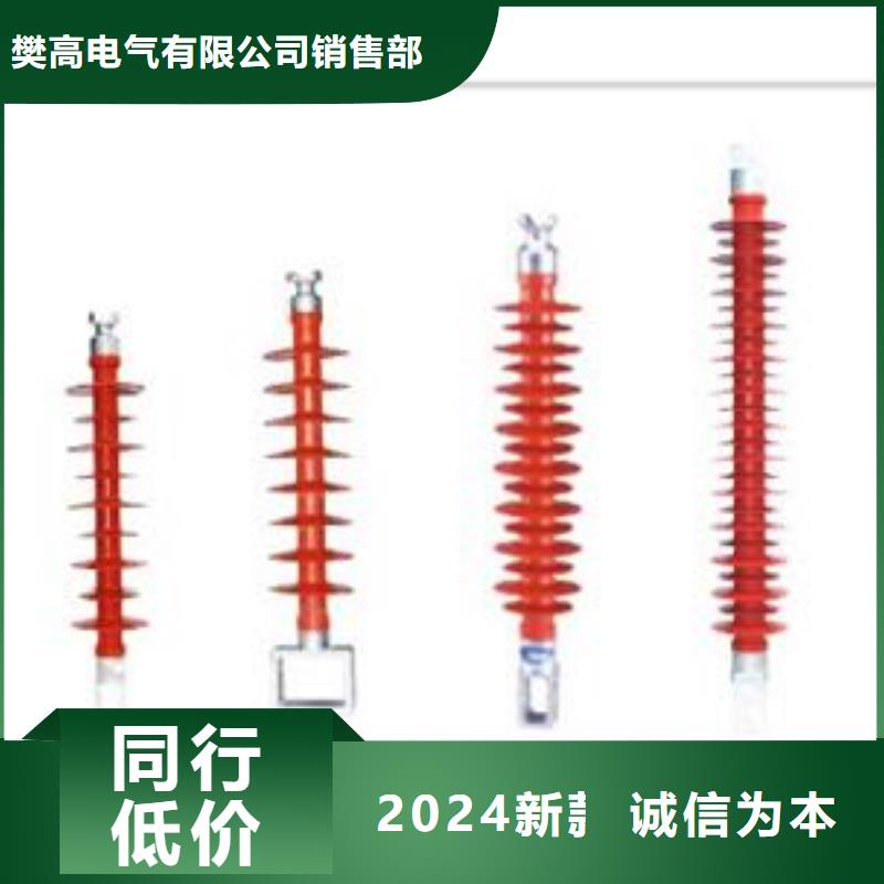 ZN-10KV/65*140绝缘子