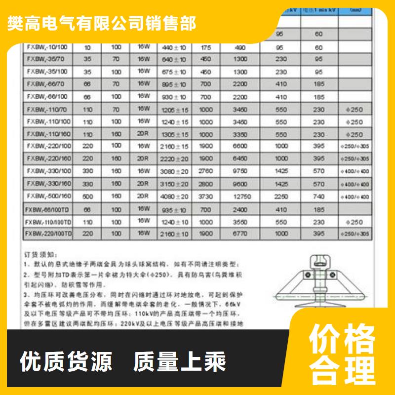 FXBW1-500/100硅胶绝缘子