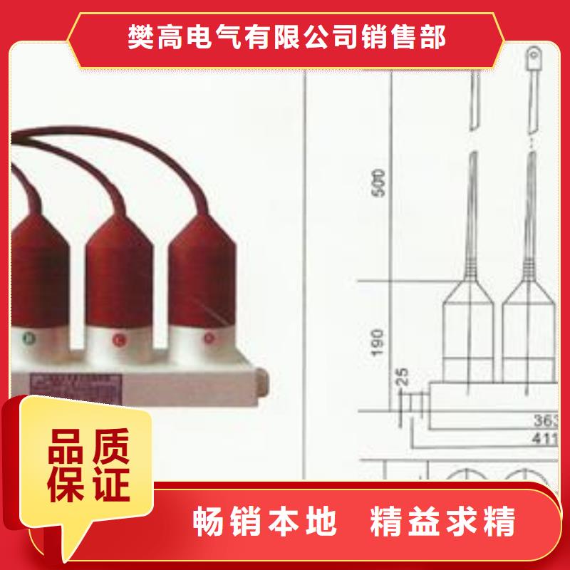 TBP-B-42F/400W三相组合式过电压保护器