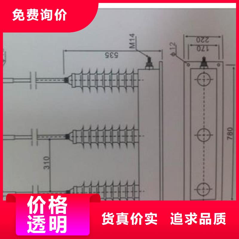 组合式避雷器BSTG-A-17图片