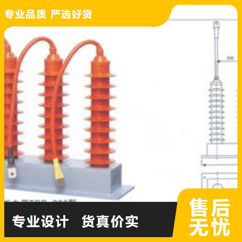 TBP-A-7.6F/131间隙过电压保护器