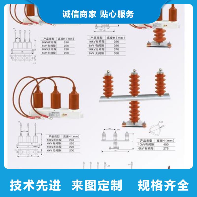 TBP-A-42F/400W过电压保护器