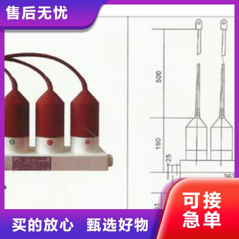 TBP-A-7.6F/131-J过电压保护器性能