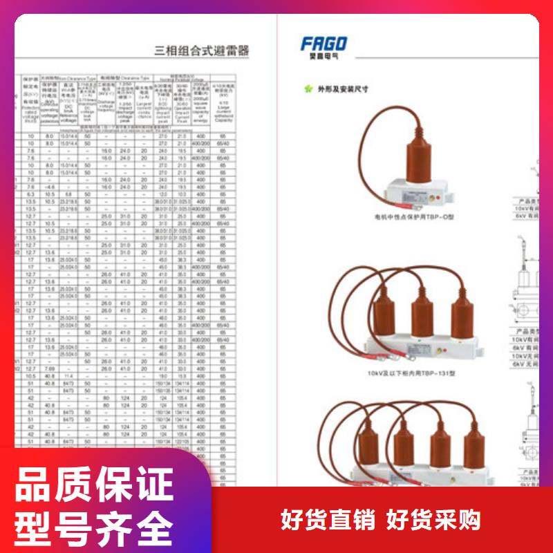 组合式避雷器TBP-A-7.6F/120图片