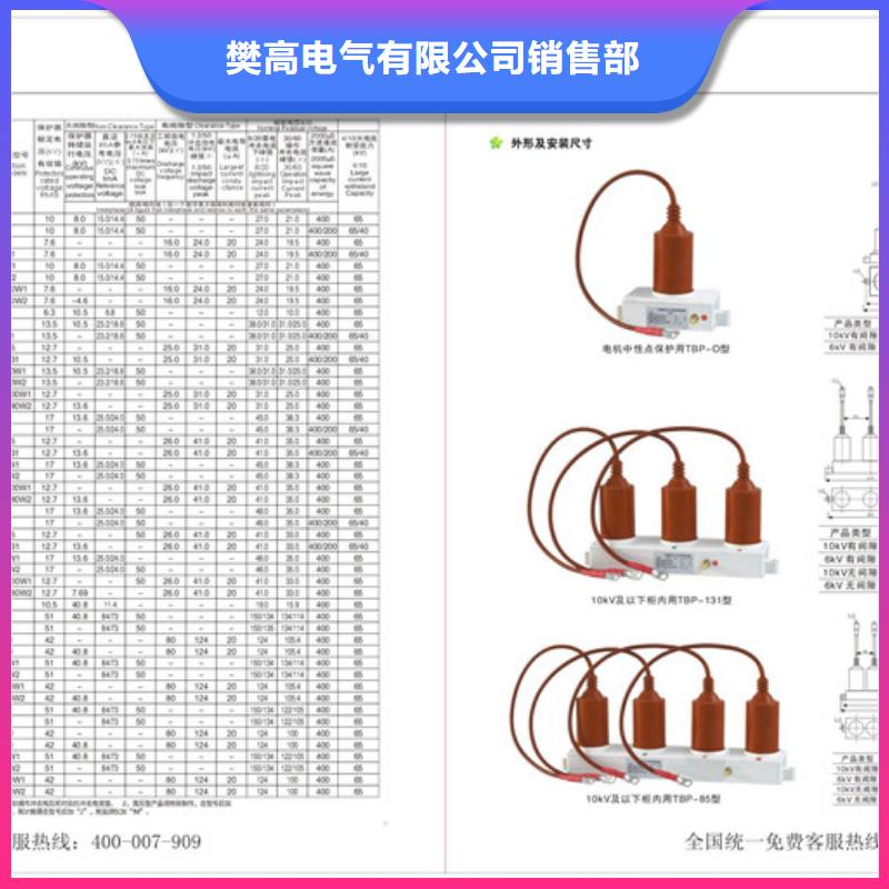 SCGB-C-12.7F/85中性点组合式避雷器