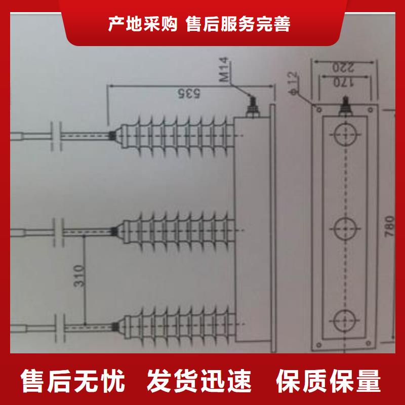 TBP-B-42F/630W过电压保护器