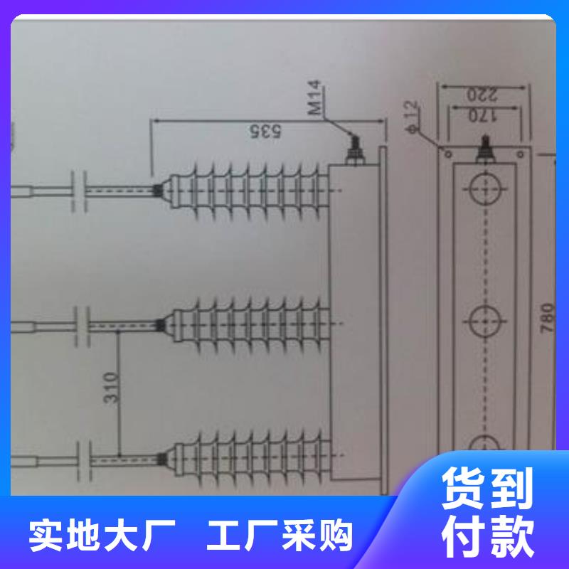 【过电压保护器跌落式熔断器厂家实体厂家支持定制】