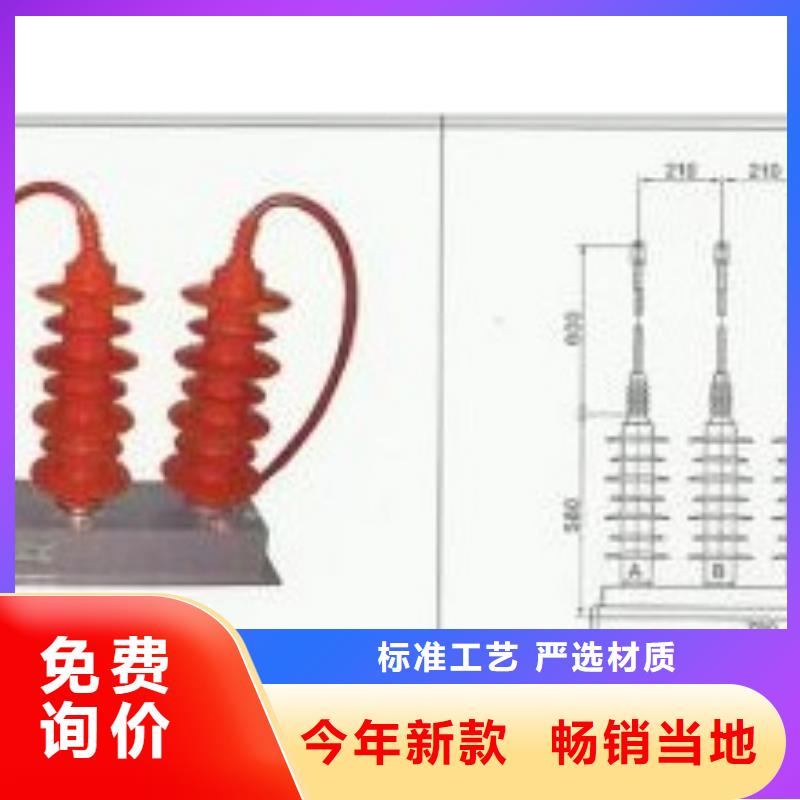 【过电压保护器跌落式熔断器厂家实体厂家支持定制】