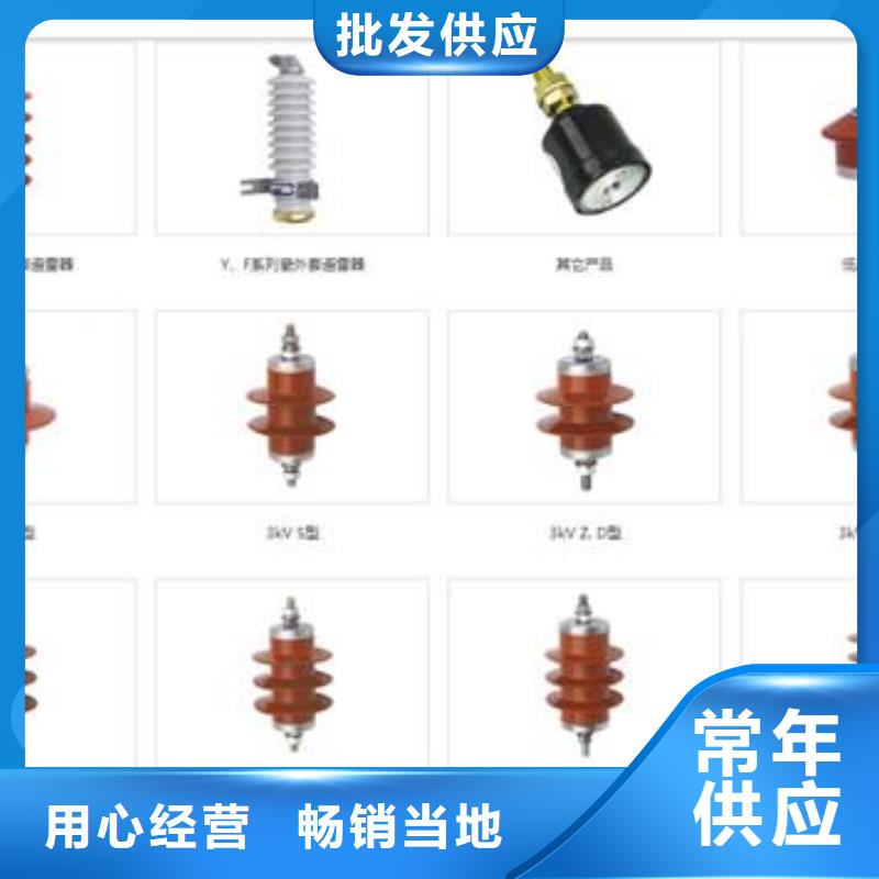 过电压保护器绝缘子多年厂家可靠