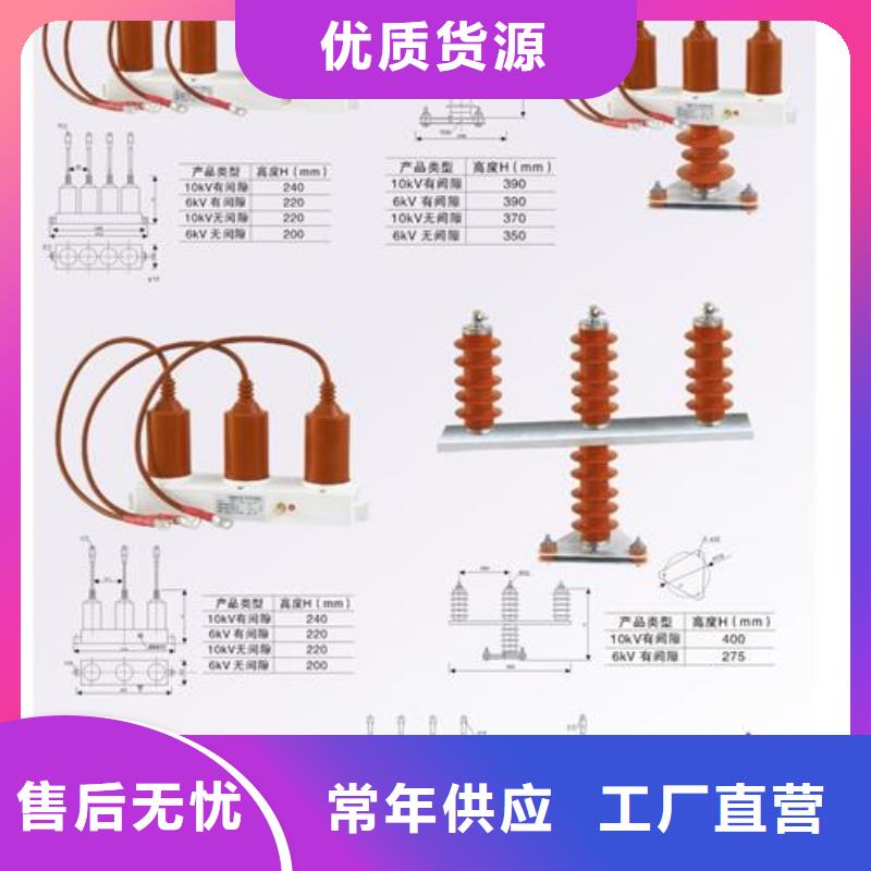 过电压保护器绝缘子多年厂家可靠