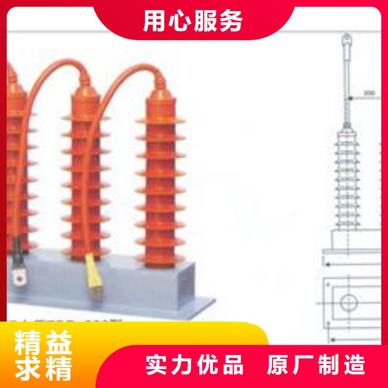 TBP-B-12.7F/85组合式避雷器