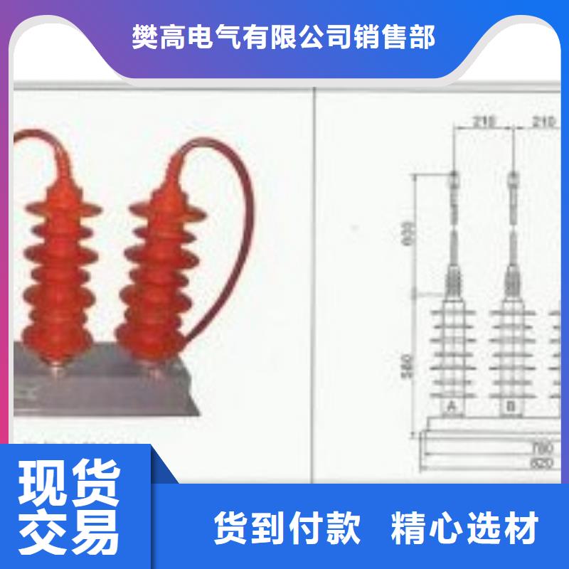 TBP-B-12.7F/85组合式避雷器