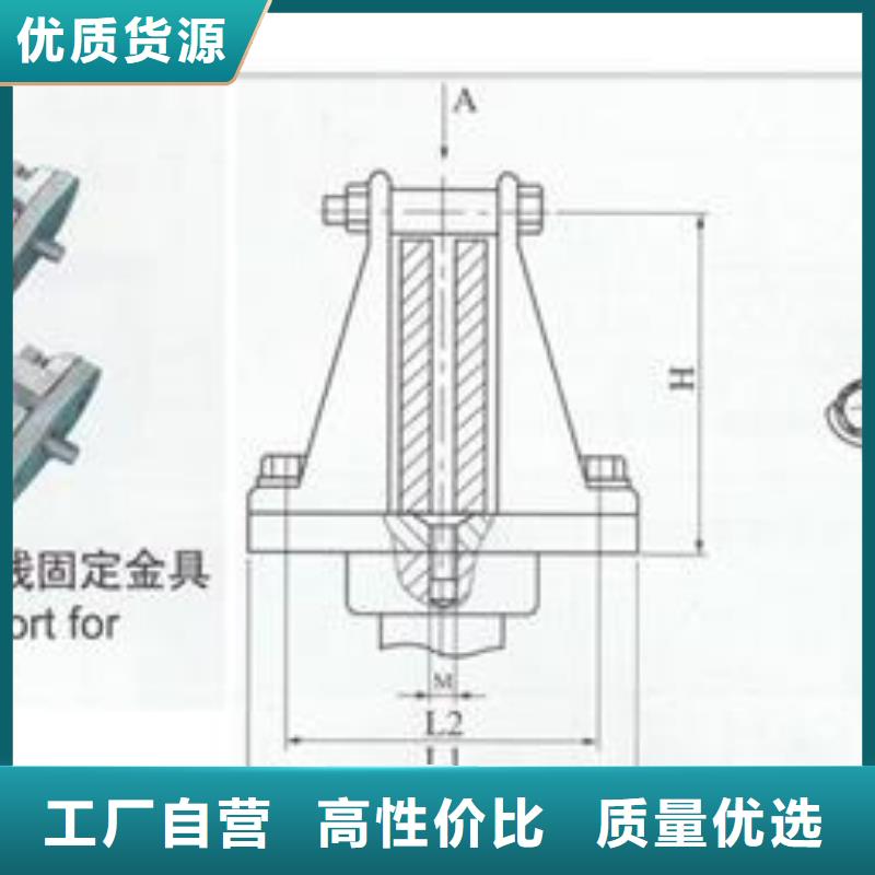 TMY-10*80铜排樊高