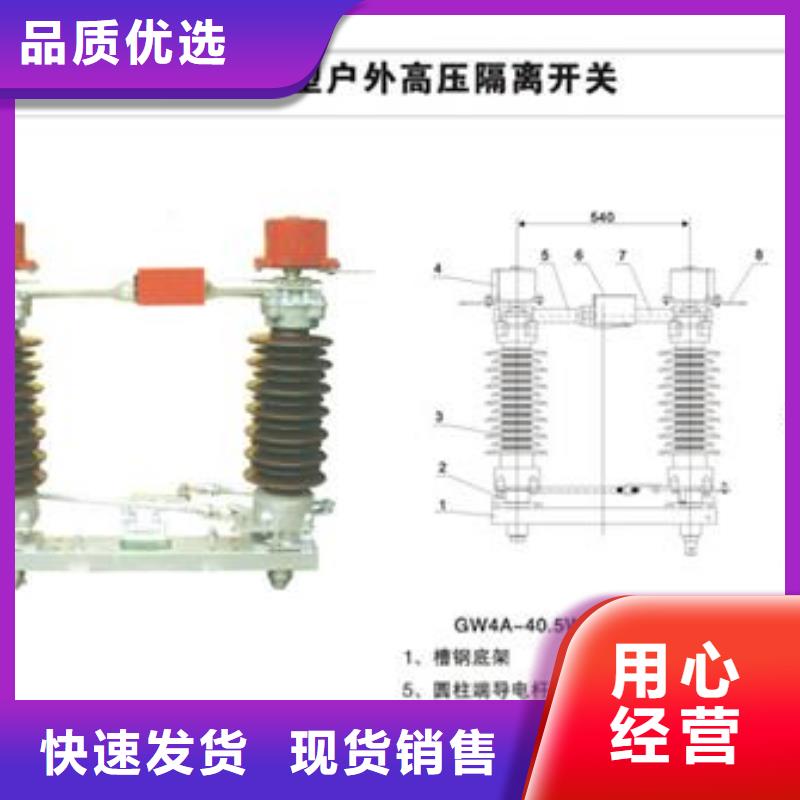 GW4-110D/1000户外隔离开关