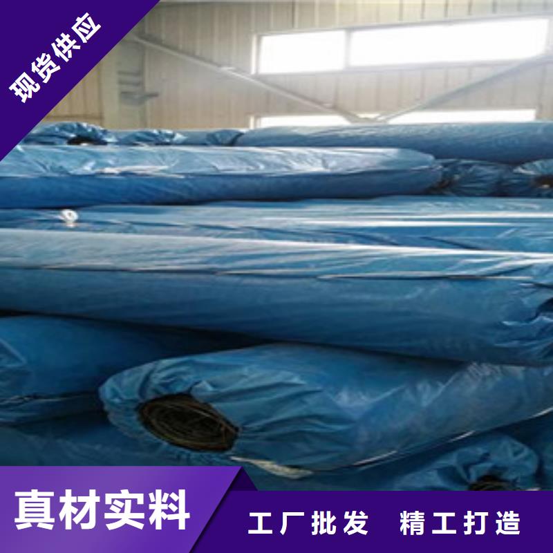 双向塑料格栅玻纤土工格栅工厂直销