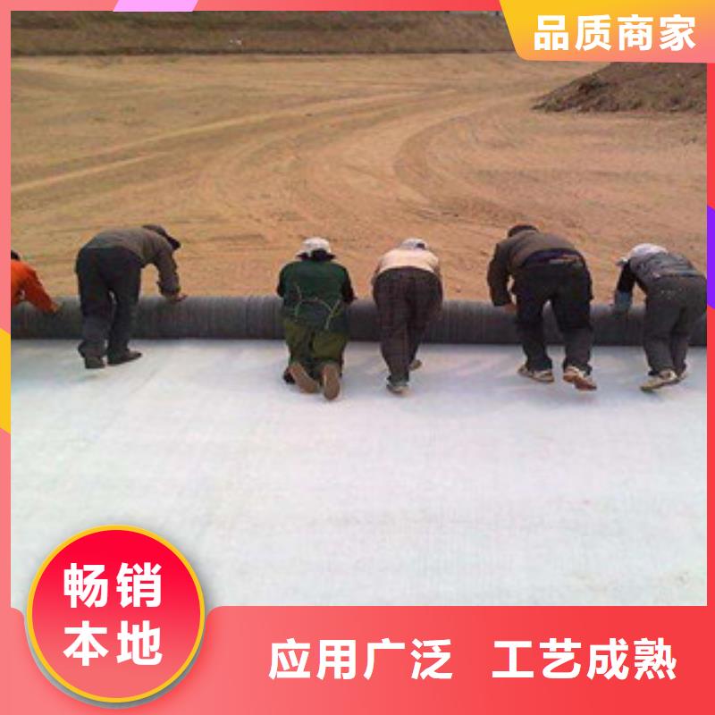 【膨润土防水毯,塑料土工格栅产地厂家直销】