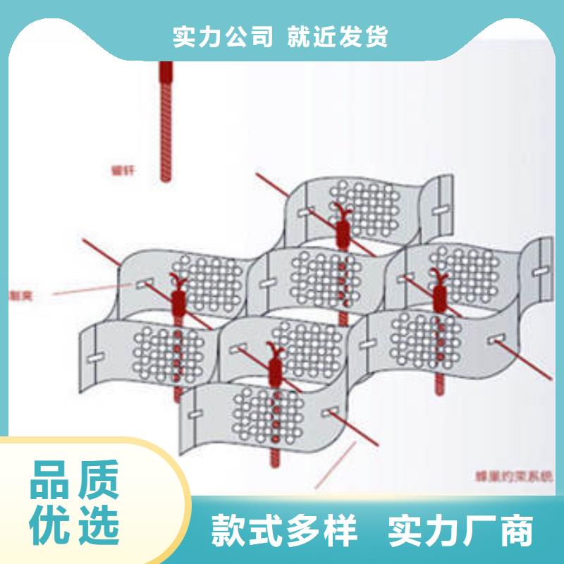 蜂巢格室,蜂巢格室本地价格最低