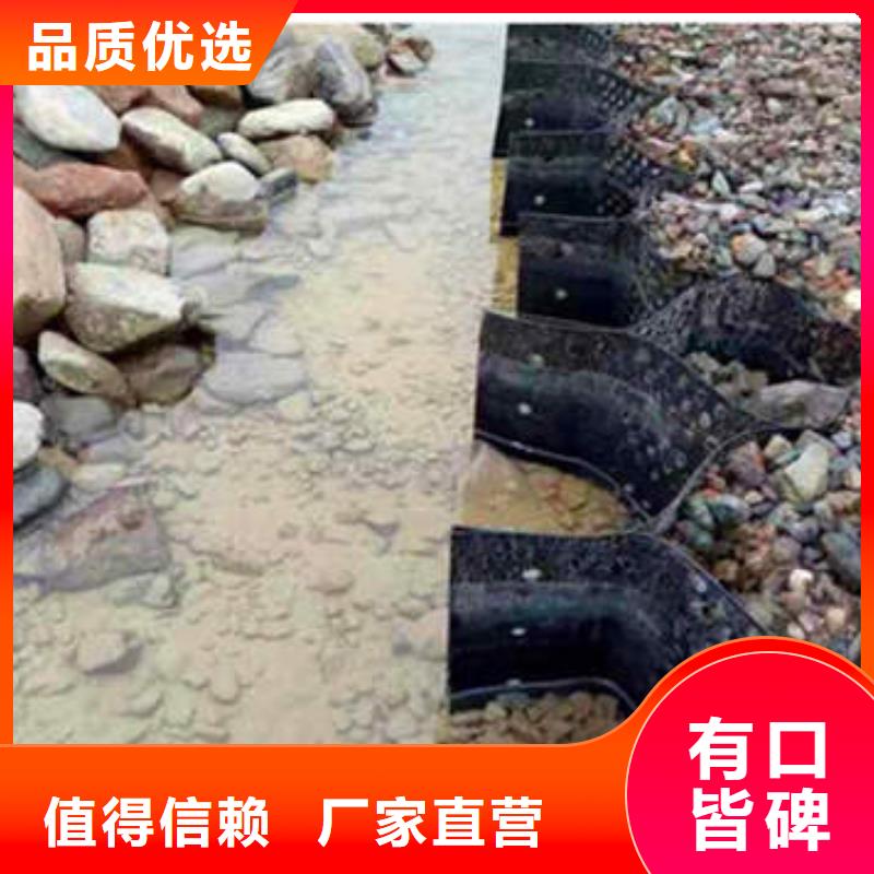 双向塑料土工格栅厂家