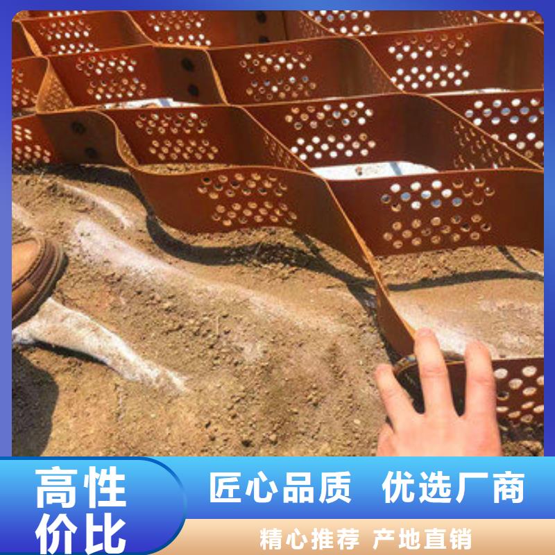 【蜂巢格室】_双向土工格栅应用领域