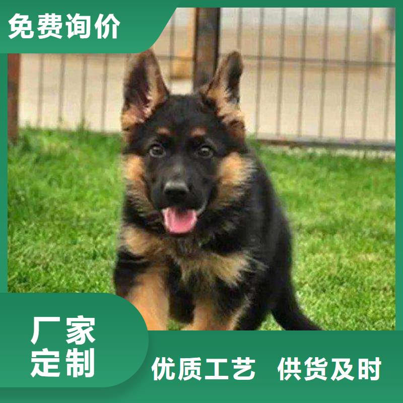 【德国牧羊犬】罗威纳犬好产品好服务