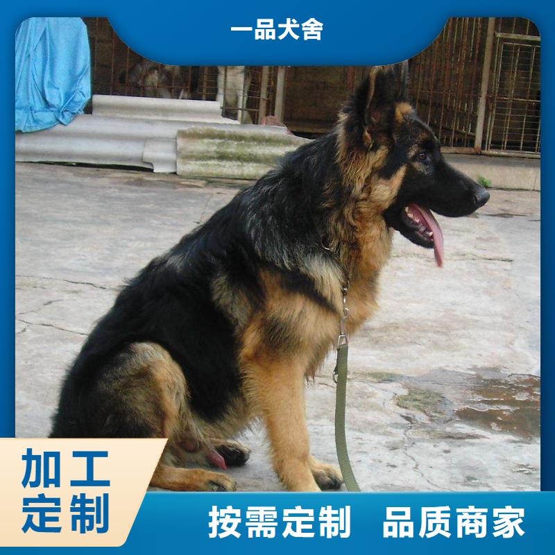 德国牧羊犬,【杜宾犬】精工打造