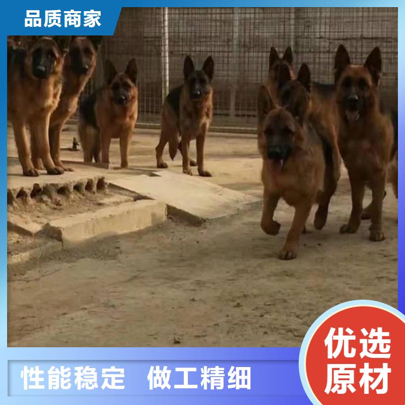 【德国牧羊犬】,罗威纳犬定制定做