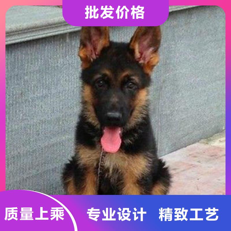 【德国牧羊犬】罗威纳犬好产品好服务