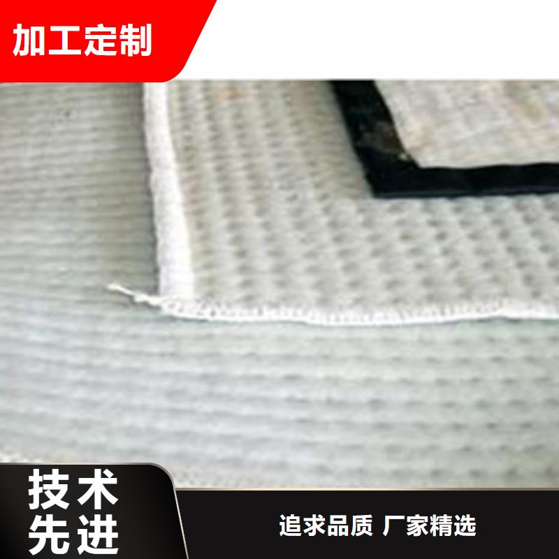 防水毯排水板厂家专注产品质量与服务