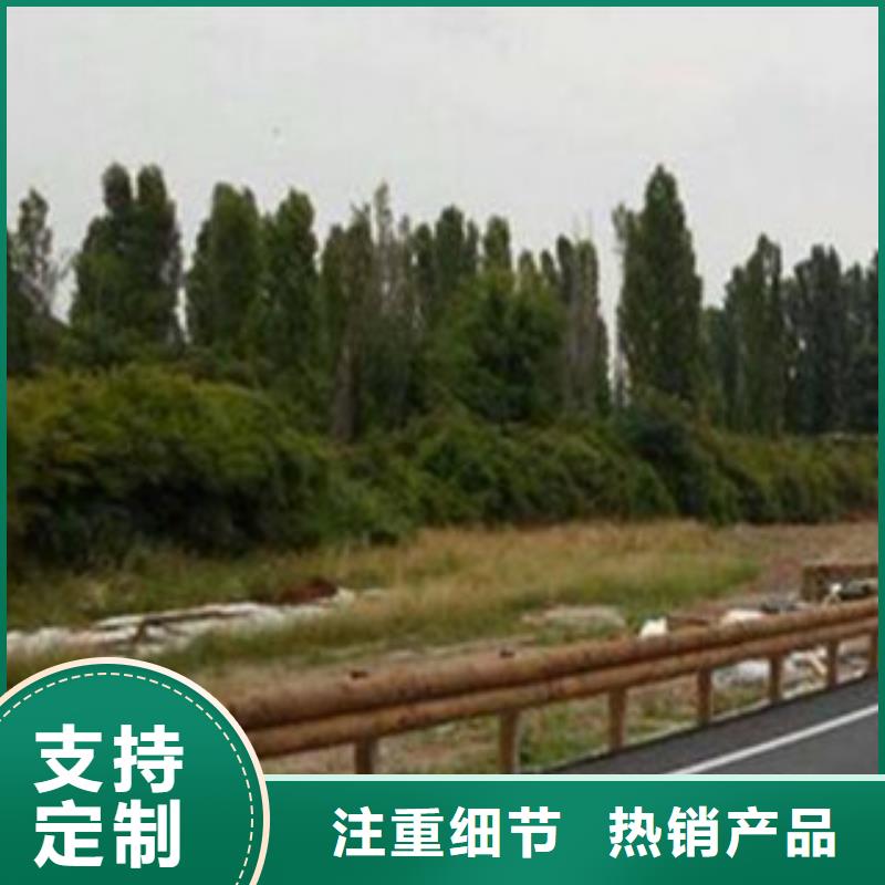 钢背木护栏河道护栏工艺成熟