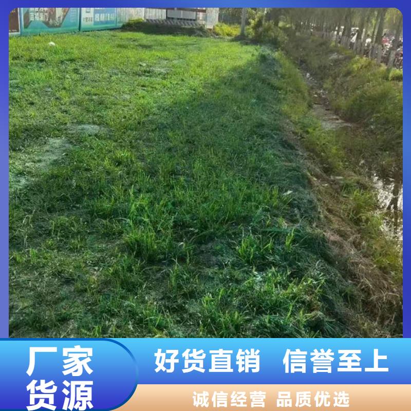 運煤火車結殼抑塵劑產(chǎn)地工廠