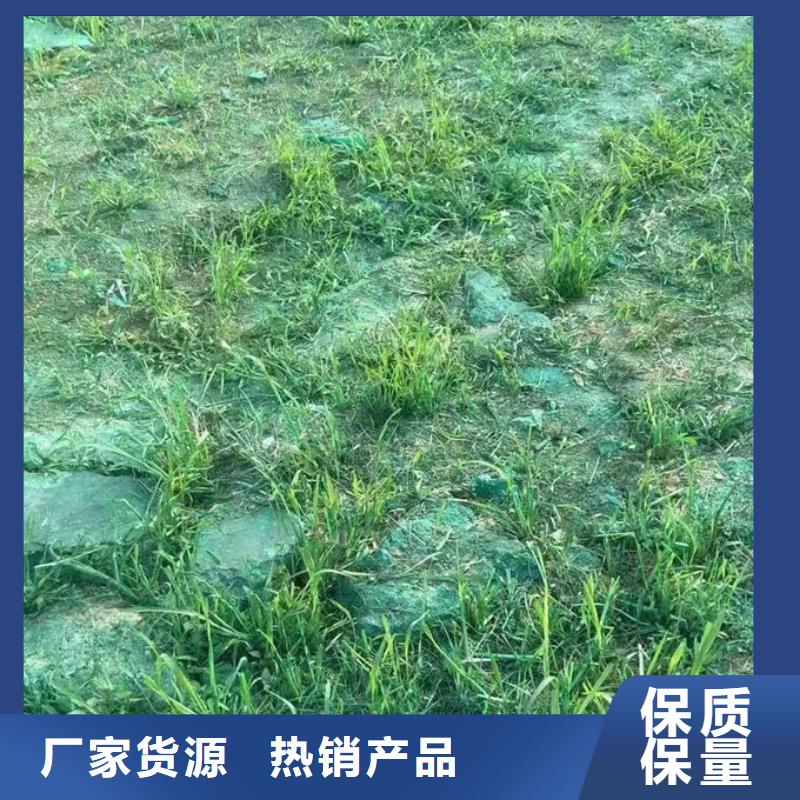 抑塵劑色素量大從優(yōu)