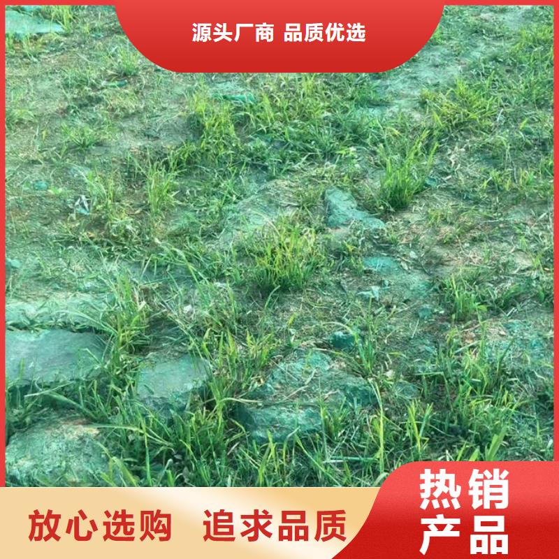 運(yùn)煤火車結(jié)殼抑塵劑誠信為本