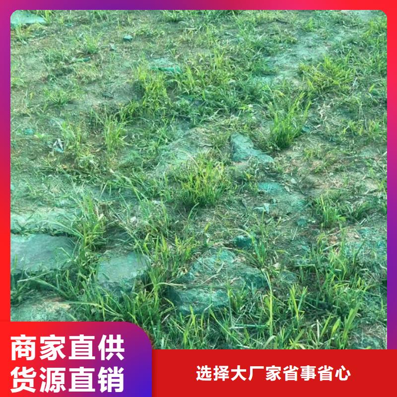 環(huán)保抑塵劑色素廠家貨源