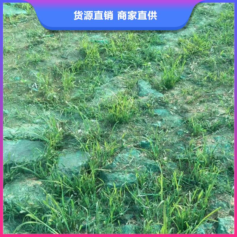 環(huán)保抑塵劑廠家直銷