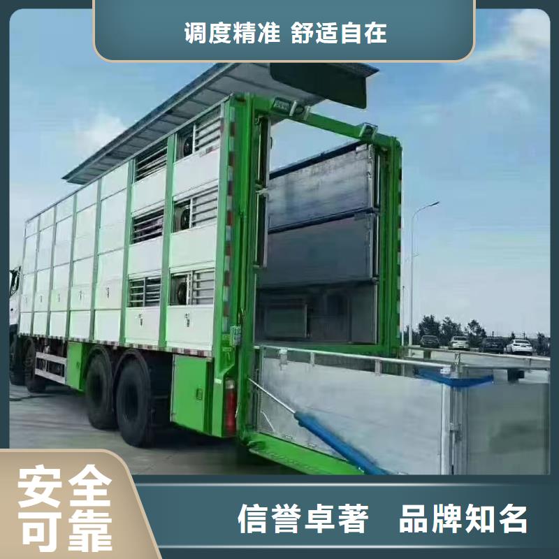 宿遷市沭陽到仔豬空調(diào)車運(yùn)輸準(zhǔn)時(shí)準(zhǔn)點(diǎn)